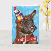 Happy Birthday to Party Animal Boxer Dog Kaart (Gele Bloem)