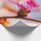 Happy Birthday to Sakura Cherry Blossom Cadeaupapier (Hoek)