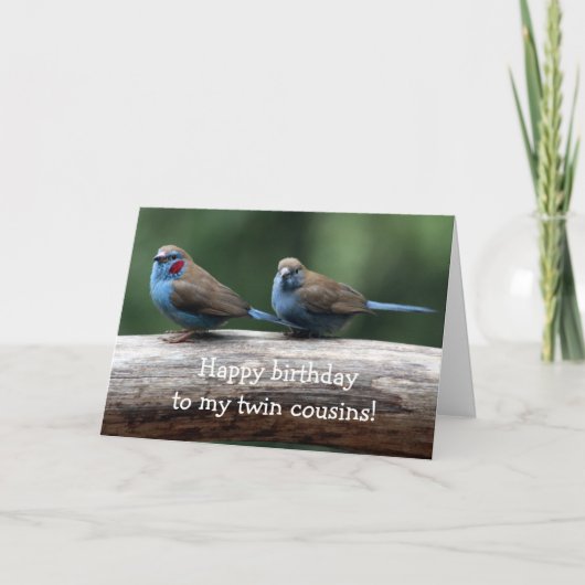 Happy birthday to the twins Birthday Card Kaart (Voorkant)