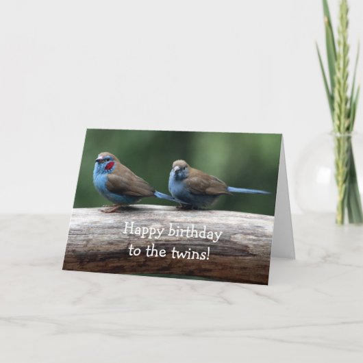 Happy birthday to the twins! kaart (Voorkant)