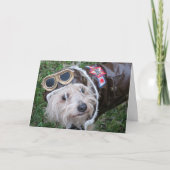 Happy Birthday Top Dog of Our Pack Cute Puppy Kaart (Voorkant)