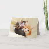 Happy Birthday Trio van Kittens Kaart (Achterkant)