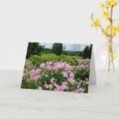 Happy Birthday - Tuin met een Uitzicht Kaart (Gele Bloem)