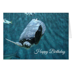 Happy Birthday Turtle and Shark Birthday Card