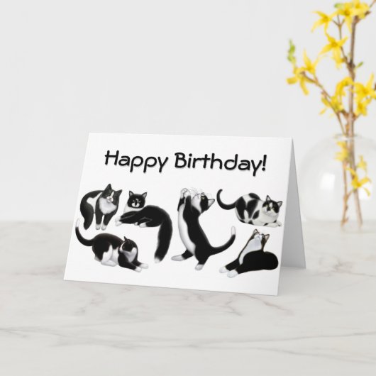 Happy Birthday Tuxedo Cats Kaart (Gele Bloem)