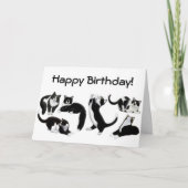 Happy Birthday Tuxedo Cats Kaart (Voorkant)