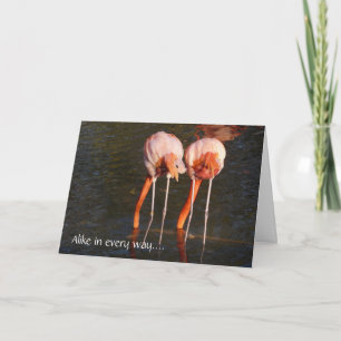 Happy Birthday Twins! - Roze flamingos Kaart