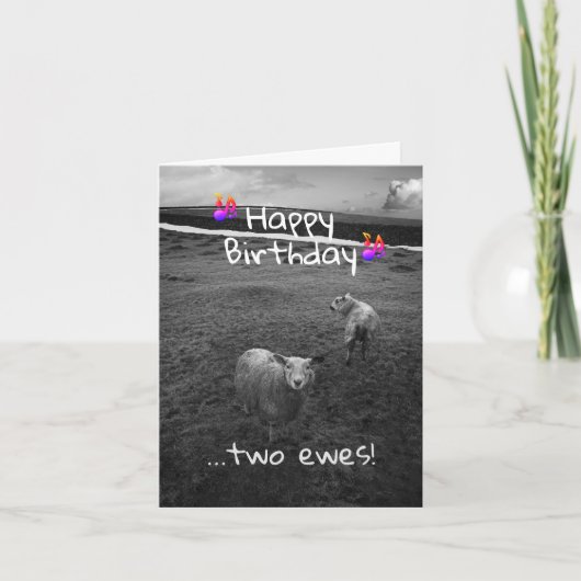 Happy Birthday Two Ewes Kaart (Voorkant)