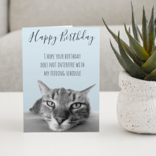 Happy Birthday uit Cat Funny Humor Kaart