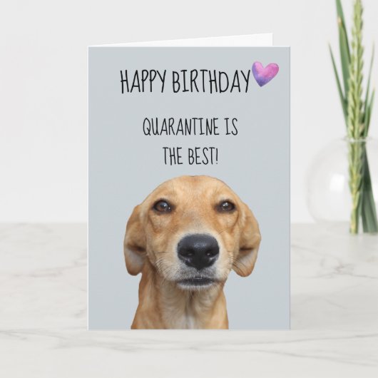 Happy Birthday uit de Dog Quarantine Covid-19 Kaart (Voorkant)