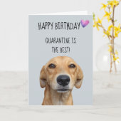 Happy Birthday uit de Dog Quarantine Covid-19 Kaart (Gele Bloem)