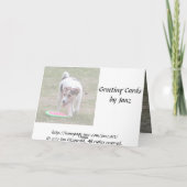 Happy Birthday uit de hond Kaart (Achterkant)