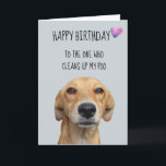 Happy Birthday uit de Humor van de Dog Funny Kaart<br><div class="desc">Dit ontwerp is gemaakt met behulp van digitale kunst. Het kan in het gebied worden aangepast door de klik aan te passen en de naam, initialen of woorden aan te passen. U kunt de tekstkleur en de stijl ook veranderen of de tekst voor een slechts ontwerp van het afbeelding schrappen....</div>