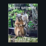 Happy Birthday uit Deez Nuts Funny Squirrel Foto Briefkaart<br><div class="desc">Fijne verjaardag van DEEZ NUTS. Een hilarische eekhoorn speelt op woorden grap over zijn noten. Ruwe humor op het briefkaart van een volwassene. Laat je vrienden lachen met deze pop cultuur citaat.</div>