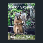 Happy Birthday uit Deez Nuts Funny Squirrel Foto Briefkaart<br><div class="desc">Fijne verjaardag van DEEZ NUTS. Een hilarische eekhoorn speelt op woorden grap over zijn noten. Ruwe humor op het briefkaart van een volwassene. Laat je vrienden lachen met deze pop cultuur citaat.</div>