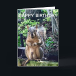 Happy Birthday uit Deez Nuts Funny Squirrel Foto Kaart<br><div class="desc">Fijne verjaardag van DEEZ NUTS. Een hilarische eekhoorn speelt op woorden grap over zijn noten. Ruwe humor op een verjaardagskaart voor volwassenen. Laat je vrienden lachen met deze pop cultuur citaat.</div>