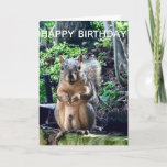 Happy Birthday uit Deez Nuts Funny Squirrel Foto Kaart<br><div class="desc">Fijne verjaardag van DEEZ NUTS. Een hilarische eekhoorn speelt op woorden grap over zijn noten. Ruwe humor op een verjaardagskaart voor volwassenen. Laat je vrienden lachen met deze pop cultuur citaat.</div>