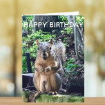 Happy Birthday uit Deez Nuts Funny Squirrel Foto Kaart<br><div class="desc">Fijne verjaardag van DEEZ NUTS. Een hilarische eekhoorn speelt op woorden grap over zijn noten. Ruwe humor op een verjaardagskaart voor volwassenen. Laat je vrienden lachen met deze pop cultuur citaat.</div>