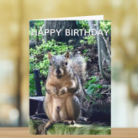 Happy Birthday uit Deez Nuts Funny Squirrel Foto