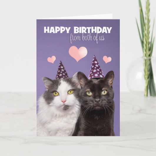 Happy Birthday uit ons twee katten Feestdagen Kaart (Voorkant)