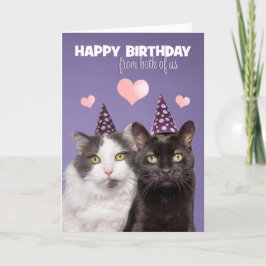 Happy Birthday uit ons twee katten Feestdagen Kaart