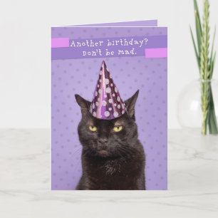 Happy Birthday Unhappy Cat in Party Pet Humor Feestdagen Kaart