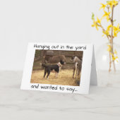 HAPPY BIRTHDAY VAN BARNYARD DIEREN KAART (Gele Bloem)