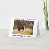 HAPPY BIRTHDAY VAN BARNYARD DIEREN KAART (Voorkant)