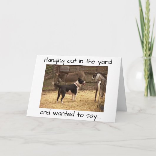 HAPPY BIRTHDAY VAN BARNYARD DIEREN KAART (Voorkant)