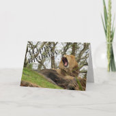 Happy Birthday - Van de koning (van het Oerwoud) Kaart (Voorkant)