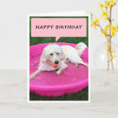 HAPPY BIRTHDAY VAN DEZE ZWEMMERENDE POPPY KAART (Gele Bloem)