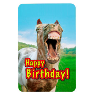 Happy Birthday van het gelukkige paard Magneet