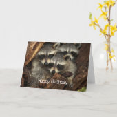 Happy Birthday van ons allemaal Fun Raccoons Kaart (Gele Bloem)