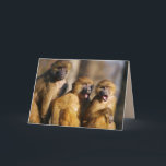 HAPPY BIRTHDAY VANAF DE DRIE 3 VAN DE US MONKEY KA KAART<br><div class="desc">HAPPY BIRTHDAY VAN DE DRIE KAART VAN DE VS</div>