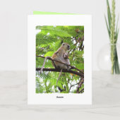 Happy Birthday Vervet Monkey Moeder en Kind Kaart (Achterkant)