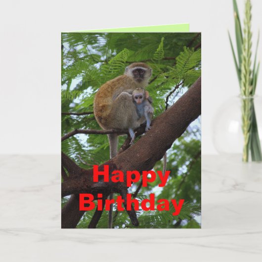 Happy Birthday Vervet Monkey Moeder en Kind Kaart (Voorkant)