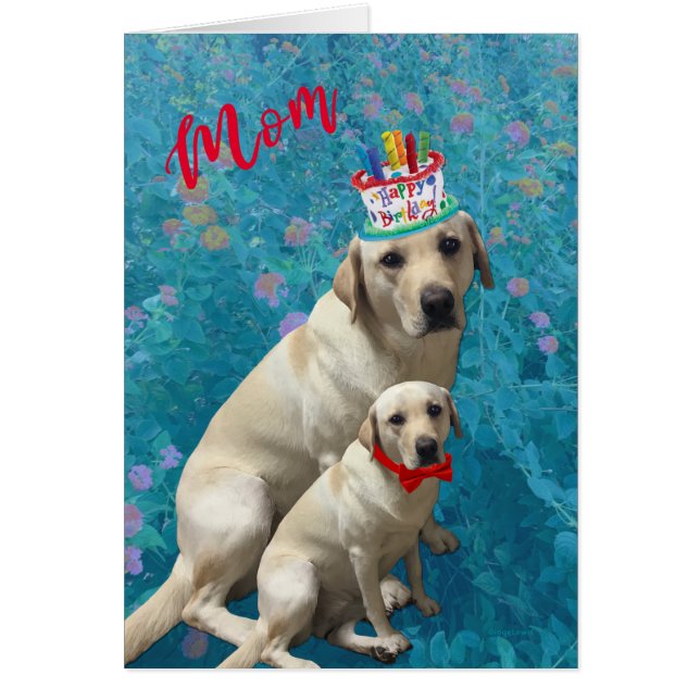Happy Birthday voor mama - Labrador Dogs, Schattig (Voorkant)