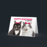 Happy Birthday Vrouw Friend Cute Cats in roze Bow Feestdagen Kaart<br><div class="desc">Deze twee voormannen katten in het vergelijken van roze haarstaarten is een schattige manier om je speciale vriendin van het vrouw te laten weten dat je haar een doorslacht verjaardag wilt!</div>