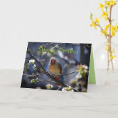 Happy Birthday Vrouw Kardinaal in Bloeiboom Kaart (Gele Bloem)