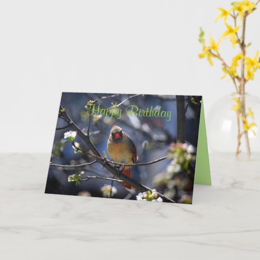 Happy Birthday Vrouw Kardinaal in Bloeiboom Kaart (Gele Bloem)