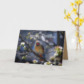 Happy Birthday Vrouw Kardinaal in Bloeiboom Kaart (Gele Bloem)