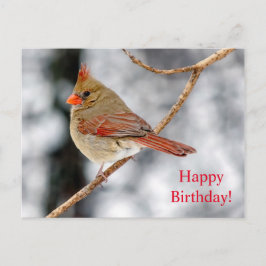 Happy Birthday Vrouw Noordelijk Kardinaal Briefkaa Briefkaart