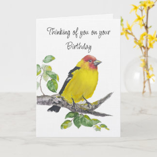Happy Birthday Watercolor Western Tanager Bird Kaart