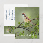 Happy Birthday Waterverf Whitethroat Vogelthema Kaart (Voorkant / Achterkant)