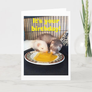 HAPPY BIRTHDAY-WE HEBBEN HET OP ONS EIND GEDEKT KAART