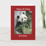 Happy Birthday Wenskaart Giant Panda Grandson Kaart<br><div class="desc">Deze kleurrijke kaart maakt deel uit van ons "panda"-collectie, dat ook cadeautjes bevat met afbeeldingen van grote panda's - zoals dekmantels, iPad-doosjes, telefoondoosjes, kleine sieraden, verpakkingspapier en andere cadeautjes. Deze steekproef zegt "Grootzoon", maar u kunt de kaart en de passende producten aanpassen, om hen nog specieler te maken. Een super...</div>