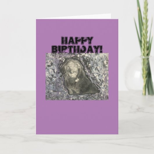Happy Birthday Wenskaart Kaart (Voorkant)