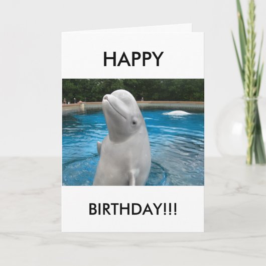 HAPPY BIRTHDAY Wenskaart met Beluga Whale Kaart (Voorkant)