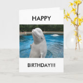 HAPPY BIRTHDAY Wenskaart met Beluga Whale Kaart (Gele Bloem)