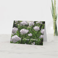 Happy Birthday White en Purple Flowers